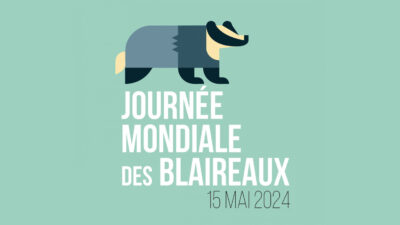 Journée Mondiale Blaireaux 2024