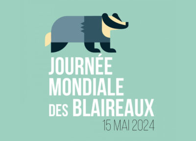 Journée Mondiale Blaireaux 2024