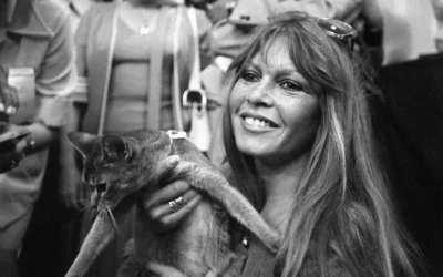 Brigitte Bardot, Saint-Tropez, ©AFP