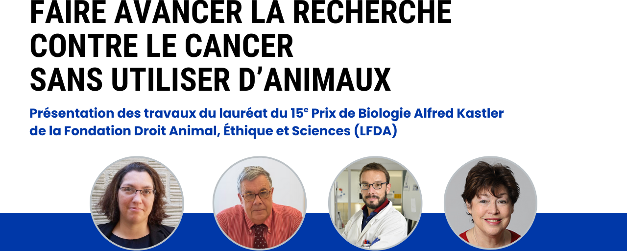 Webinaire Kastler tumoroïdes