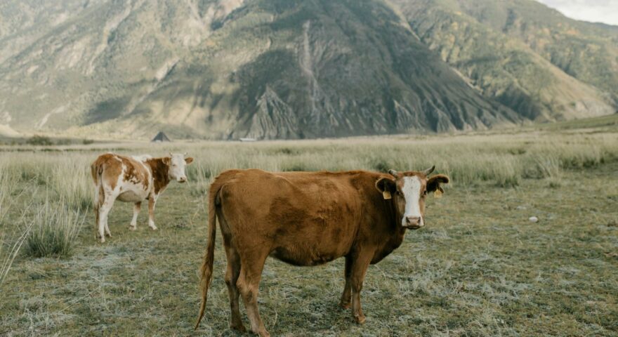 pexels-photo-5652609