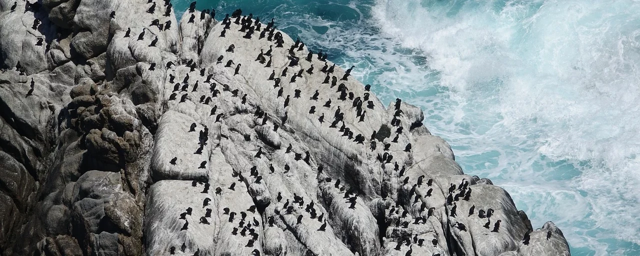 johnrh-ocean-6519233_1280