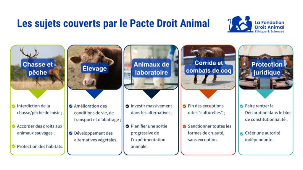 Les sujets couverts par le Pacte Droit Animal