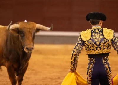 Corrida : taureau & matador