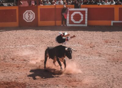 Corrida au Pérou, taureau