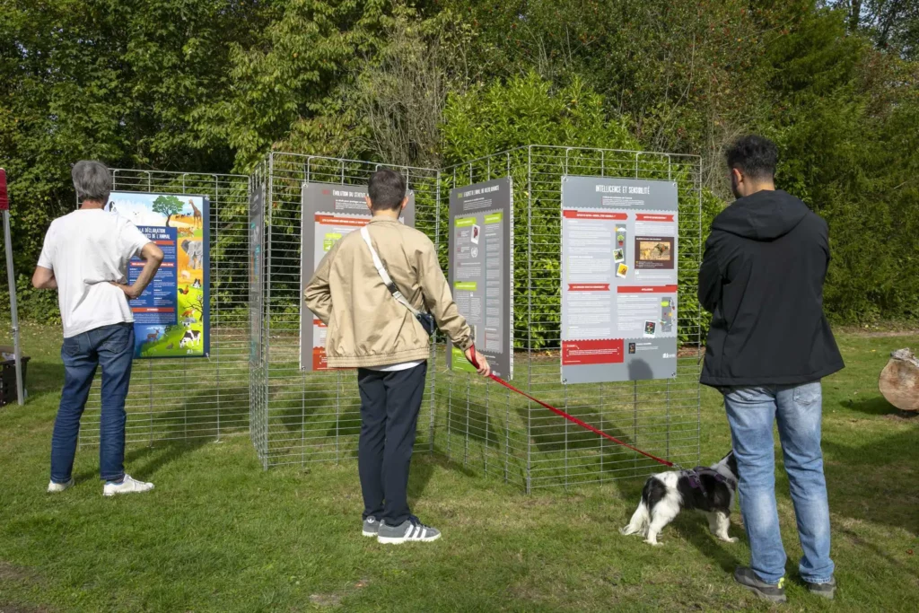 Exposition itinérante de la LFDA à Mont-Saint-Aignan, septembre 2026